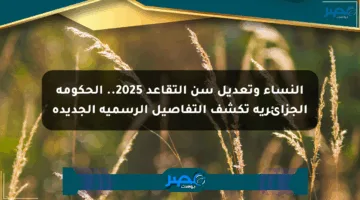 النساء وتعديل سن التقاعد 2025.. الحكومة الجزائرية تكشف التفاصيل الرسمية الجديدة